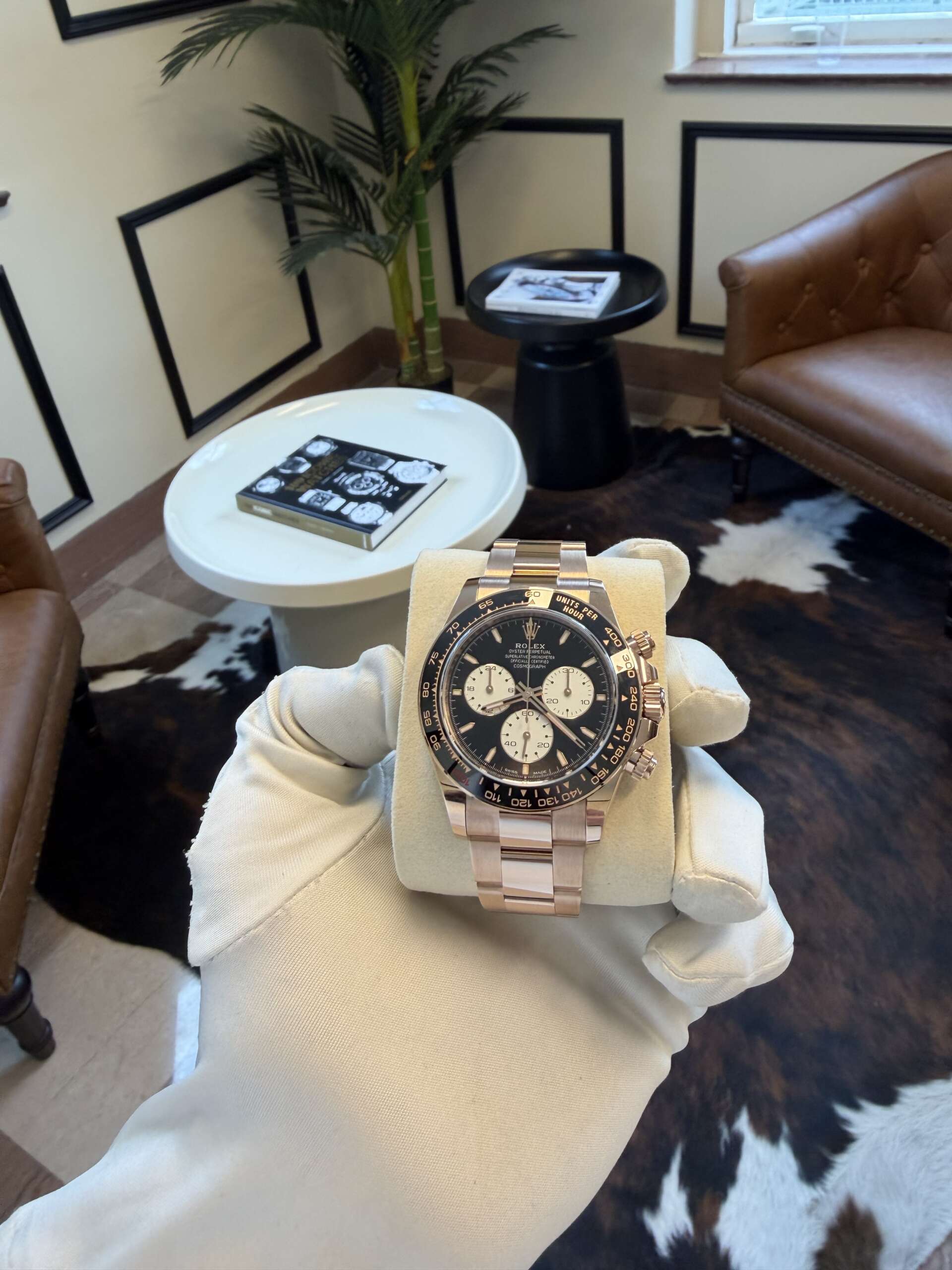 Rolex Daytona Le Mans - Image 5